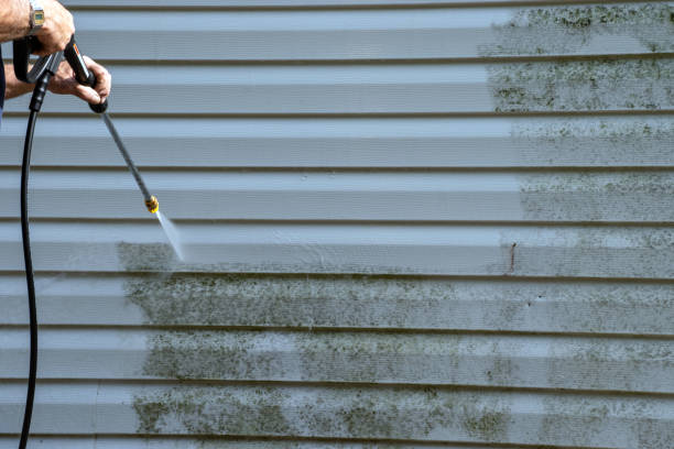 Best Garage Cleanout  in , NY