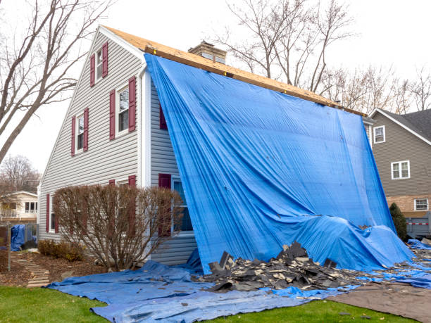 Best Shed Removal  in , NY